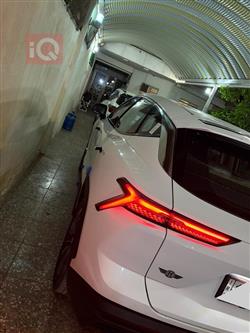 جيتور داشينج